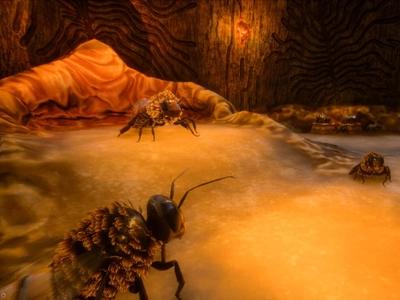 Bee Simulator - Screenshot 2 of 8