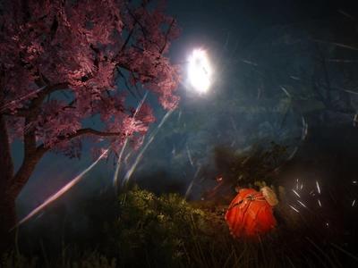 Black Desert - Screenshot 4 of 4