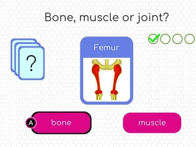 BodyQuest - Screenshot 3 of 5