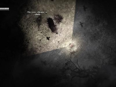 Darkwood - Screenshot 5 of 7