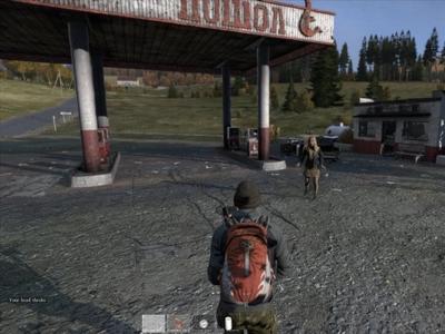 DayZ - Screenshot 1 of 9