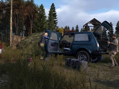 DayZ - Screenshot 2 of 9