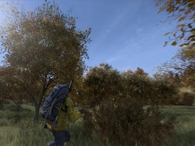DayZ - Screenshot 5 of 9