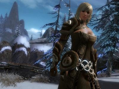Guild Wars 2 - Screenshot 8 of 10