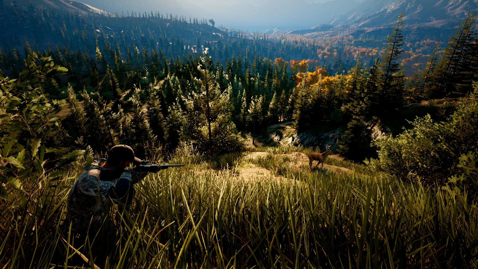 Hunting Simulator 2 cover art