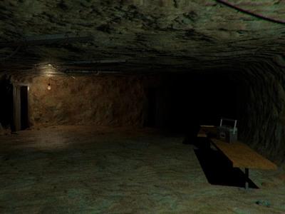Lost in Vivo - Screenshot 3 of 5