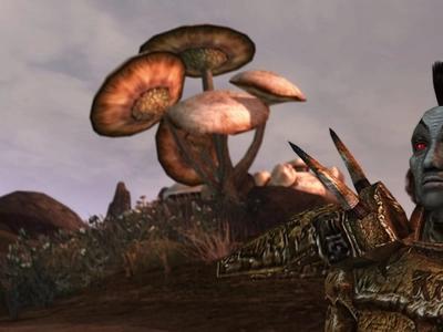 The Elder Scrolls III: Morrowind - Screenshot 8 of 10