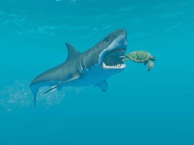 Stranded Deep - Screenshot 6 of 10