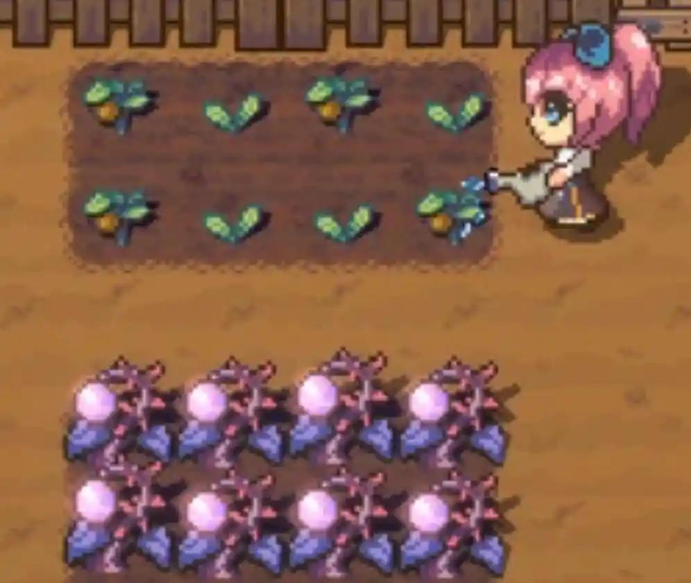 Sun Haven - Coming Soon