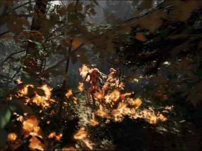 The Forest - Screenshot 3 of 4