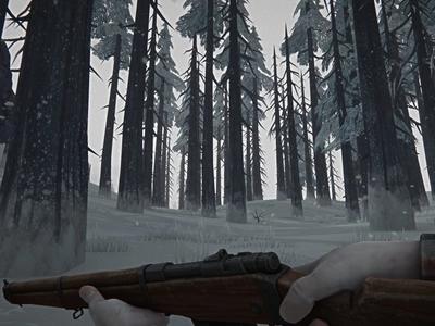 The Long Dark - Screenshot 1 of 7