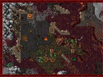 Tibia - Screenshot 1 of 9