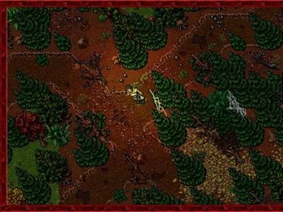 Tibia - Screenshot 4 of 9