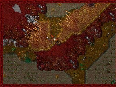 Tibia - Screenshot 6 of 9