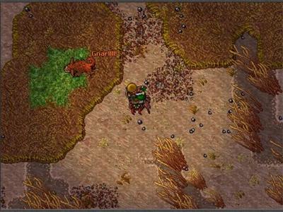 Tibia - Screenshot 8 of 9