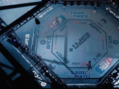UFC 5 - Screenshot 3 of 5
