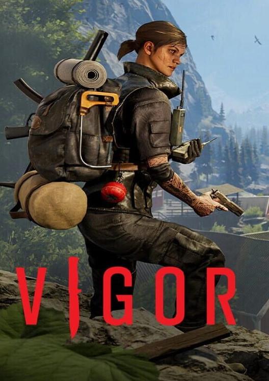 Vigor cover art