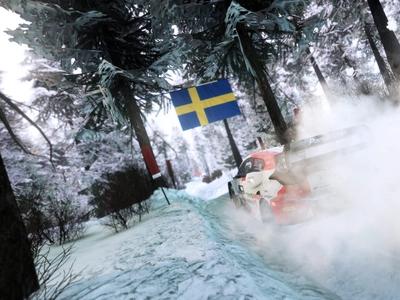 WRC Generations - Screenshot 8 of 8