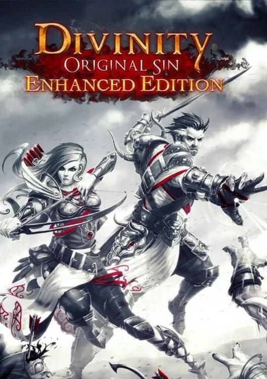 Divinity: Original Sin - Enhanced Edition cover art