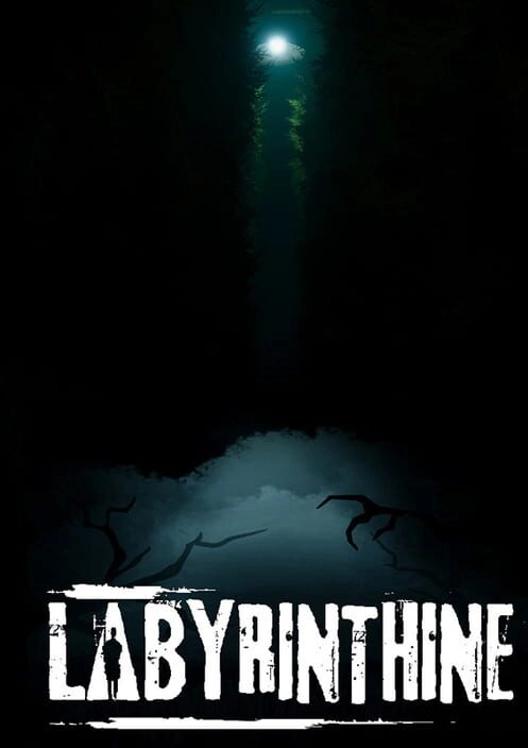 Labyrinthine cover art